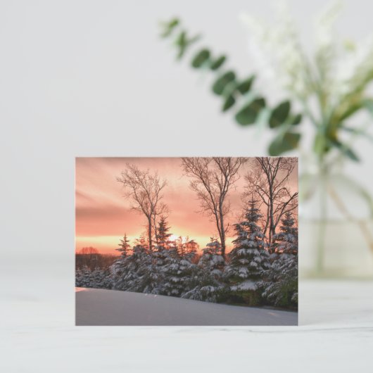 冬の朝日 ポストカード (スタンド正面)