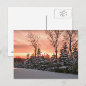 冬の朝日 ポストカード (正面/裏面)