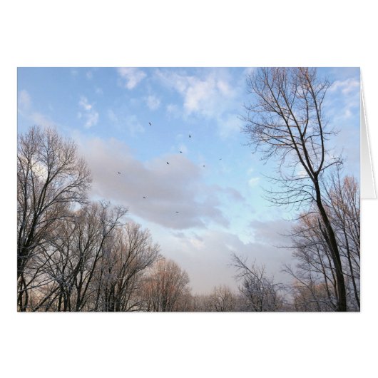 冬の朝 (正面横)