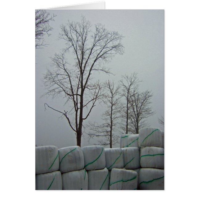 冬の朝5x7 (正面)