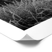 冬の朝：ストランドシャー湾、ダーウェントウェイポスト ポスター (角)