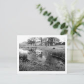 冬の朝:ダーウェントウォーター、ストランドシャー湾 ポストカード (スタンド正面)