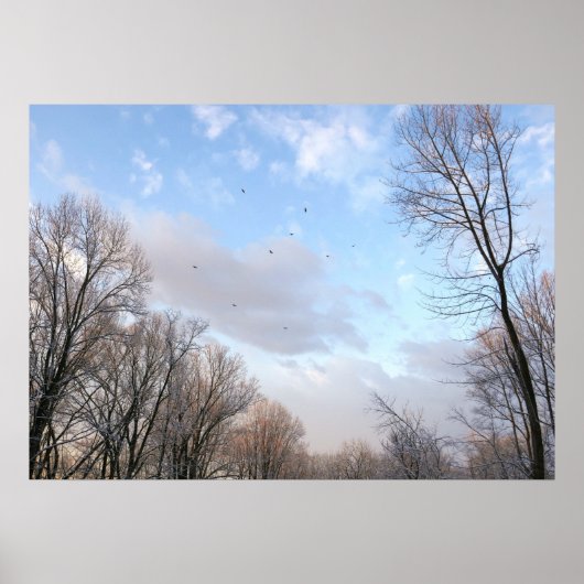 冬の朝 ポスター (正面)