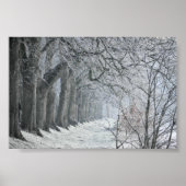 冬の朝 ポスター (正面)