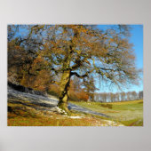 冬の朝 ポスター (正面)