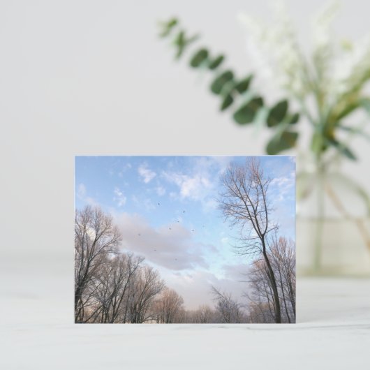 冬の朝 ポストカード (スタンド正面)