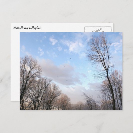 冬の朝 ポストカード (正面/裏面)