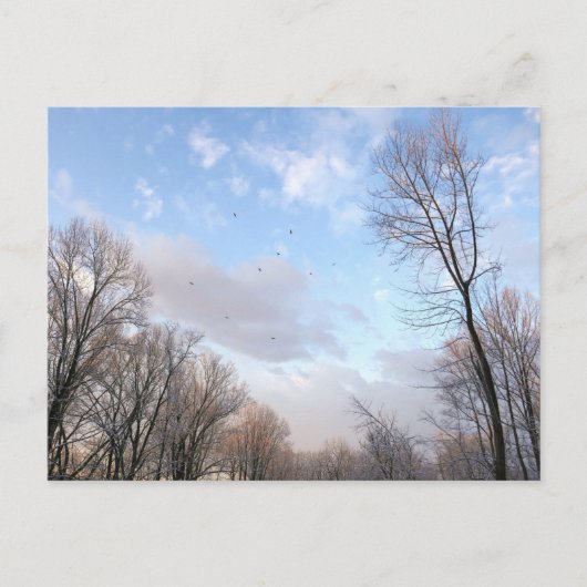 冬の朝 ポストカード (正面)