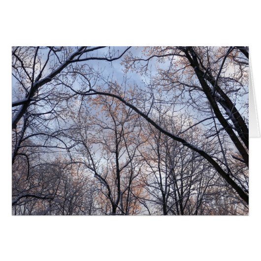 冬の朝II自然風景 (正面横)