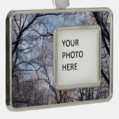 冬の朝II自然風景 シルバープレートフレームオーナメント (右)