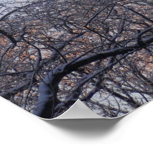 冬の朝II自然風景 ポスター (角)