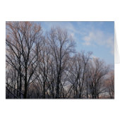 冬の朝III自然風景 (正面横)