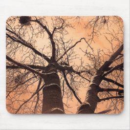 冬の木々が下に マウスパッド
