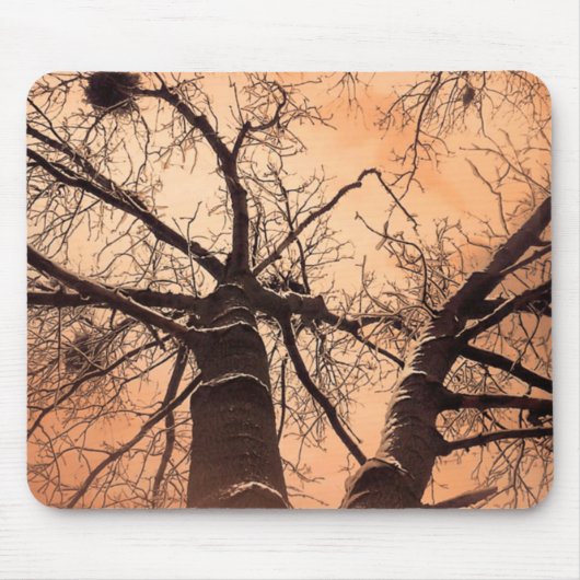 冬の木々が下に マウスパッド (正面)