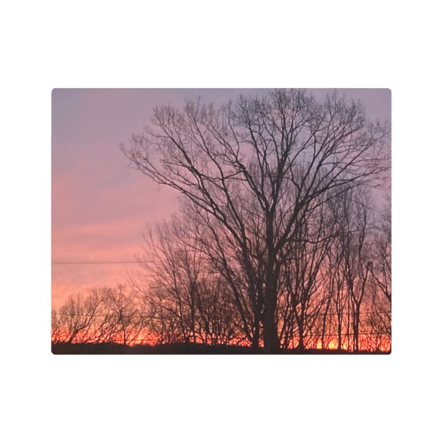 冬の木々の上の赤い日の出 メタルプリント (正面)