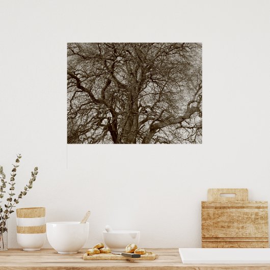 冬の木々の初期春 – セピア ポスター (キッチン)
