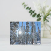 冬の木々の間の太陽 ポストカード (スタンド正面)