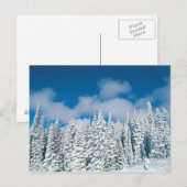 冬の木々、 スチームボート、 コロラド州、アメリカ ポストカード (正面/裏面)