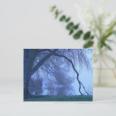 冬の木と湖 ポストカード (スタンド正面)