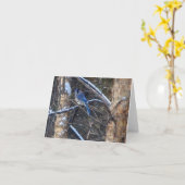 冬の木にオカケバドリ カード (黄色い花)