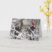 冬の木のコショウ カード (黄色い花)