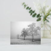 冬の木のフィールドはがき ポストカード (スタンド正面)
