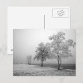 冬の木のフィールドはがき ポストカード (正面/裏面)