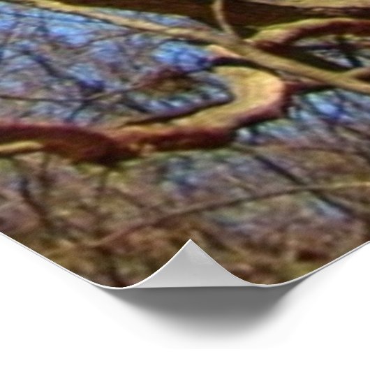 冬の木の一輪 ポスター (角)