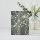 冬の木の中の鳥 ポストカード (スタンド正面)