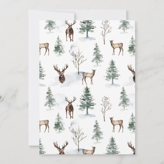 冬の木の国を性別で明素朴かす 招待状 (裏面)