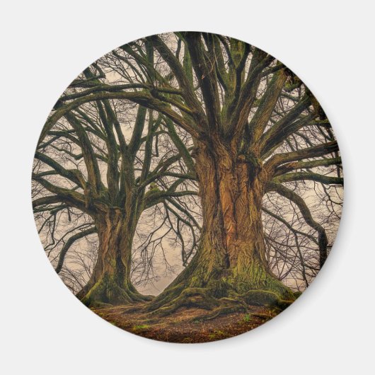 冬の木の抽象芸術 マグネット (正面)