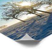 冬の木の日の出 – - ポスター (角)