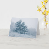 冬の木の自然写真 カード (黄色い花)
