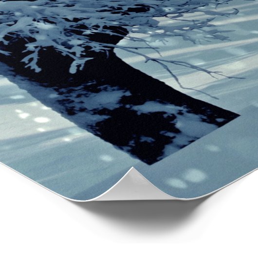 冬の木の風景 ポスター (角)