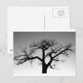 冬の木シルエット ポストカード (正面/裏面)
