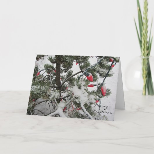 冬の木ラデンと雪 シーズンカード (正面)