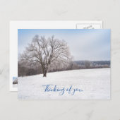冬の木考えるの葉書 ポストカード (正面/裏面)