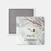 冬の木霜の降りた《鳥》アメリカゴガラ鳥 マグネット (正面/裏面)