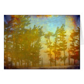 冬の木 (正面横)