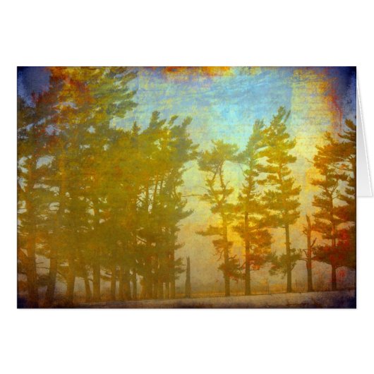 冬の木 (正面横)