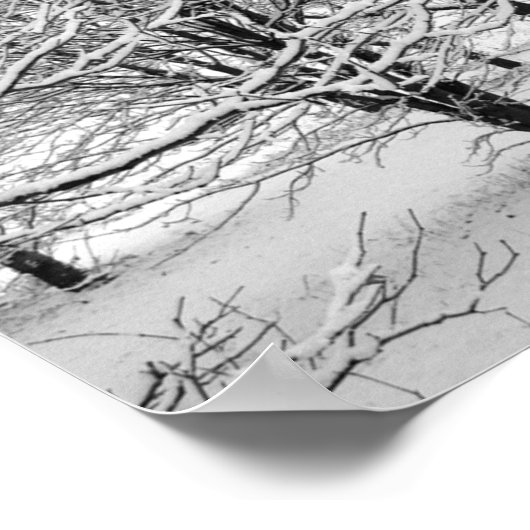 冬の木16x11 ポスター (角)