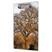 冬の木 クリップボード (左)