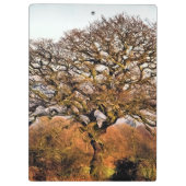 冬の木 クリップボード (裏面)