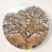 冬の木 コースター (正面)