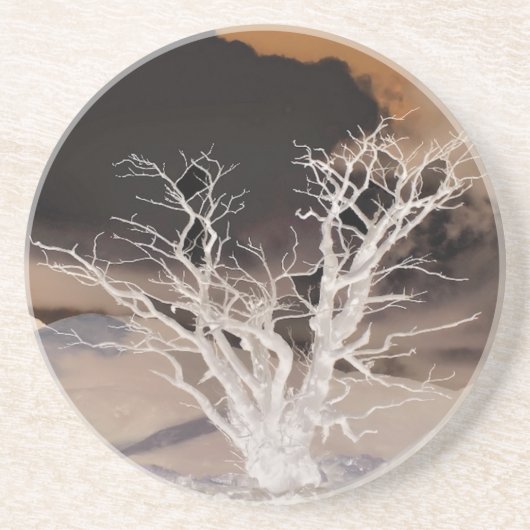 冬の木 コースター (正面)