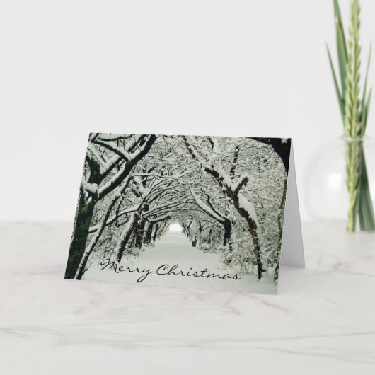 冬の木 シーズンカード (正面)