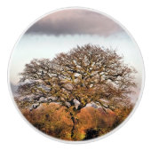 冬の木 セラミックノブ (正面)