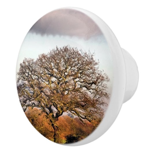 冬の木 セラミックノブ (右)