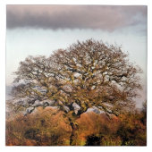 冬の木 タイル (正面)