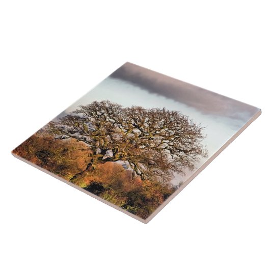 冬の木 タイル (側面)